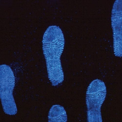 Lightning Powder Lightning Luminol 43575 - Tactical & Duty Gear